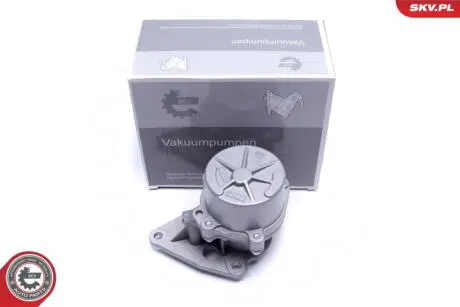 Вакуумный насос Skv Germany 18SKV062