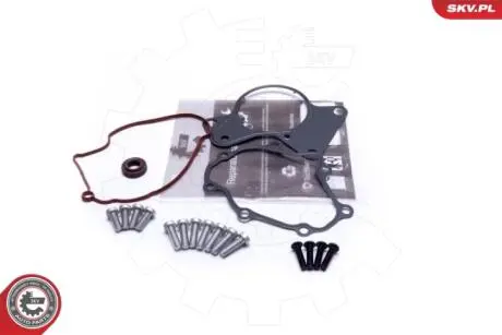 Ремкомплект вакуумного насоса Skv Germany 18SKV802