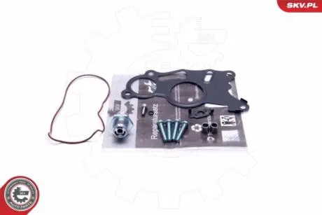 Ремкомплект вакуумного насоса Skv Germany 18SKV803