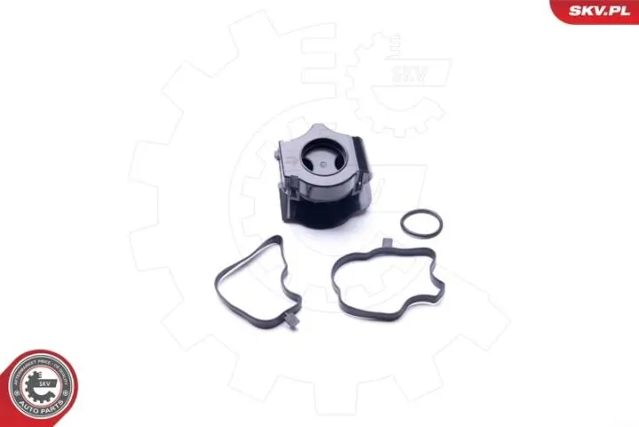 Клапан – сепаратор Skv Germany 31SKV071 (фото 1)