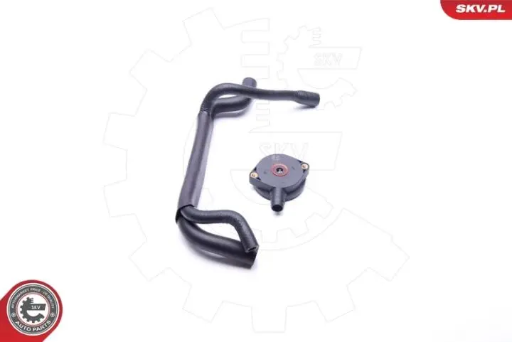 Клапан Skv Germany 31SKV101 (фото 1)