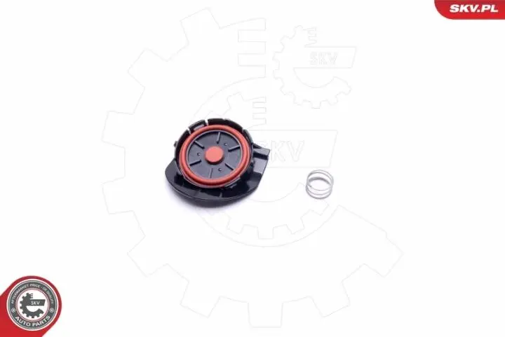 Клапан Skv Germany 31SKV141 (фото 1)