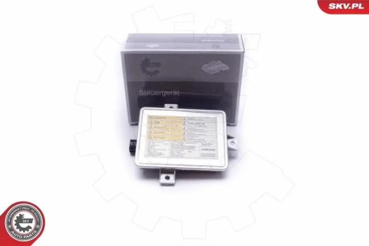 Блок розпалювання Skv Germany 59SKV020 (фото 1)