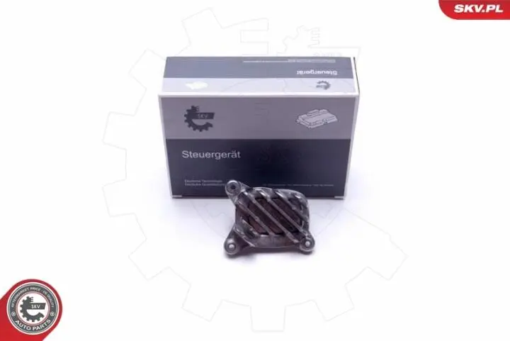 Фото 1 - Модуль управления Skv Germany 59SKV134 Модуль управления Skv Germany 59SKV134 (фото 1)