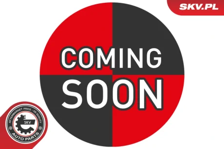 Кронштейн, тормозной суппорт Skv Germany 74SKV280