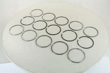 Кільця поршневі vag 5 cyl. 81,00 2,5 x 2,0 x 3,00 mm (вир-во) SM MVI 795041-00-5 (фото 1)