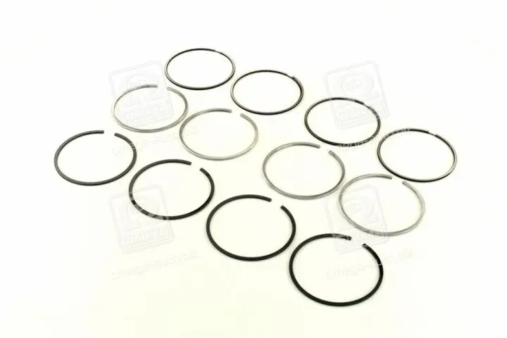 Комплект поршневых колец SM 792096004 (фото 1)