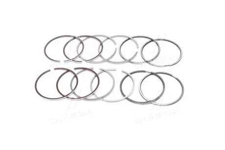 Комплект поршневых колец SM 795045004