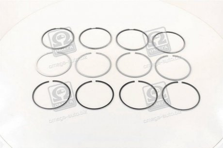 Комплект поршневых колец SM 795045504 (фото 1)