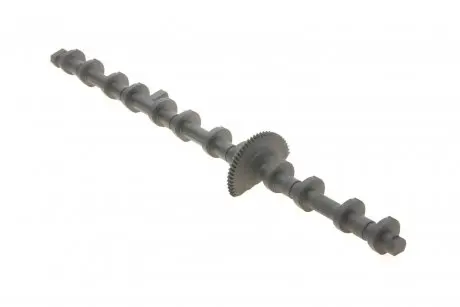 Вал эксцентриковый bmw x5 (e70) (n55/s55) 07-13 SOLGY 106004