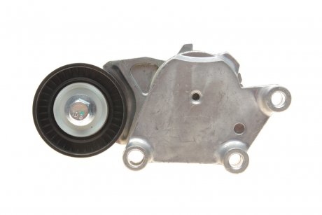 Натяжник ремня генератора Citroen/Peugeot/Ford 1.4HDi/1.6TDCi 01- SOLGY 110022