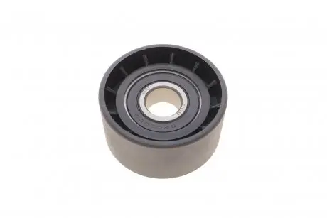 Ролик генератора renault trafic/master 1.9-2.5di/dti (паразитный) (60х31) SOLGY 110153