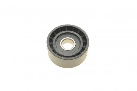Ролик генератора renault trafic/opel vivaro 01-(паразитный) (60x25.5) подшипник snr SOLGY 110195