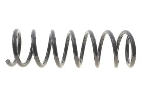 Пружина (задня) SOLGY 212123