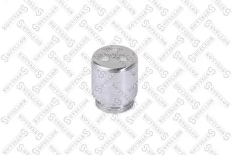 Поршень гальмівного супорта заднього 38мм STELLOX 0498310SX