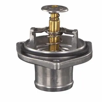 Термостат, охолоджуюча рідина SWAG 10 10 3154