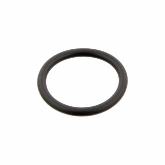 Уплотнительное кольцо, трубка охлаждающей жидкости SWAG 30 92 9752 (фото 1)