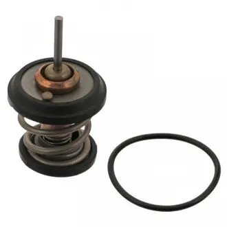 Термостат, охолоджуюча рідина SWAG 30 93 4782