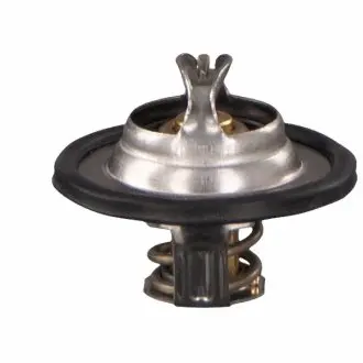 Термостат, охолоджуюча рідина SWAG 60 92 4028