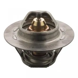 Термостат системы охлаждения SWAG 62917694