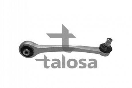 Важіль незалежної підвіски колеса, підвіска колеса TALOSA 46-04894 (фото 1)