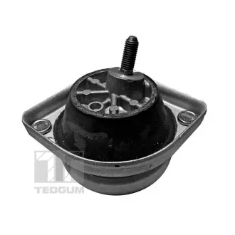 Опора двигателя TED-GUM 000 89795
