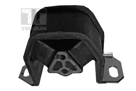 Опора кпп TED-GUM 005 00604