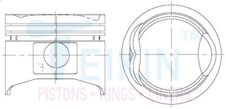 Поршень с пальцем std (к-кт на двигатель) b6 TEIKIN 42171-STD