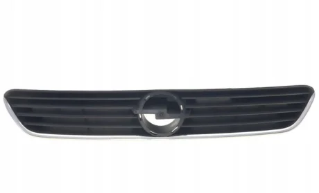 Решітка радіатора a(g) з хромованим профілем, 6320065 TEMPEST 5508051