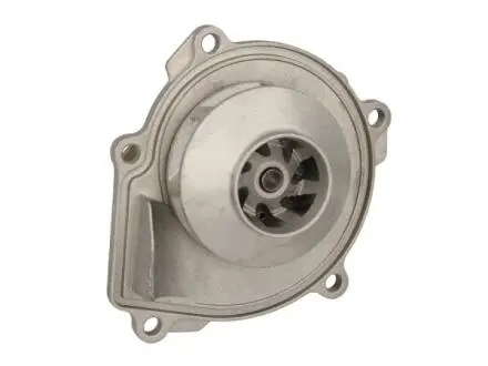 Водяной насос THERMOTEC D1Y077TT