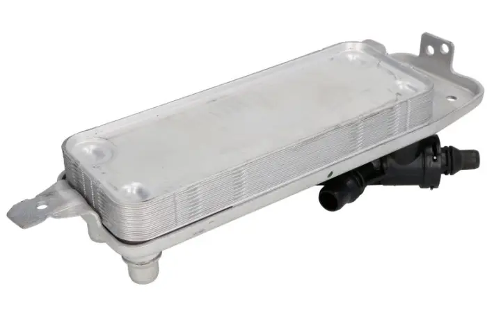 Фото 1 - Масляный радиатор BMW 5 (F10), 5 (F11), 5 GRAN TURISMO (F07), 6 (F12), 6 (F13), 6 GRAN COUPE (F06), 7 (F01, F02, F03, F04) 3.0-6.0 09.0 THERMOTEC D4B022TT Масляный радиатор BMW 5 (F10), 5 (F11), 5 GRAN TURISMO (F07), 6 (F12), 6 (F13), 6 GRAN COUPE (F06), 7 (F01, F02, F03, F04) 3.0-6.0 09.0 THERMOTEC D4B022TT (фото 1)