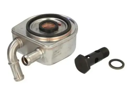 Масляный радиатор THERMOTEC D4C016TT