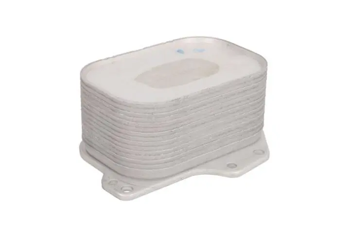 Радіатор змащення THERMOTEC D4S001TT (фото 1)