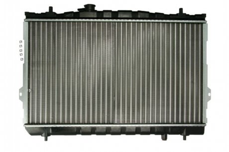 Радіатор, охолодження двигуна THERMOTEC D70517TT (фото 1)