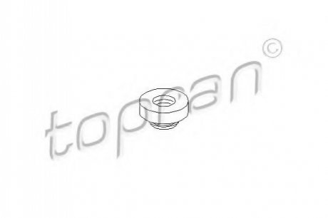 Прокладка, болт крышка головки цилиндра TOPRAN 100 546 (фото 1)