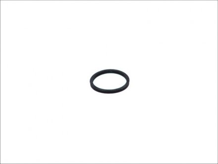 Уплотнительное кольцо, клапанная форсунка. TOPRAN 100 677 (фото 1)
