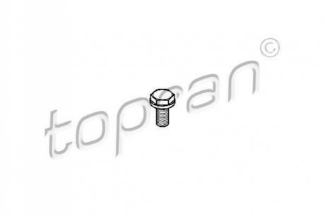 Болт маховика TOPRAN 110 260 (фото 1)
