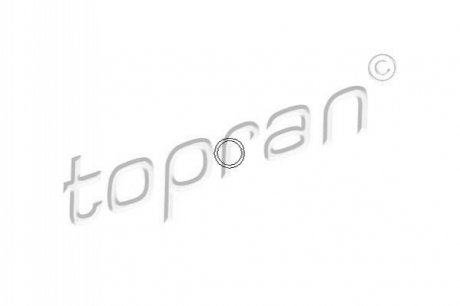 Прокладка, болт крышка головки цилиндра TOPRAN 206 529 (фото 1)