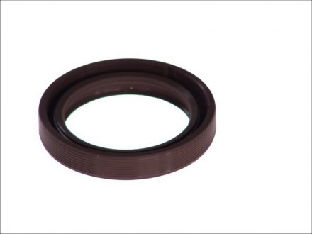 Уплотняющее кольцо, коленчатый вал TOPRAN 500 760 (фото 1)