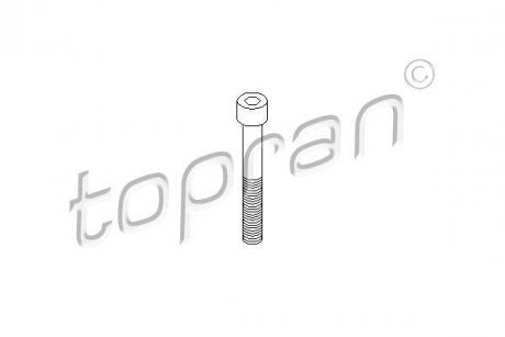 Винт тормозного суппорта TOPRAN 110 707