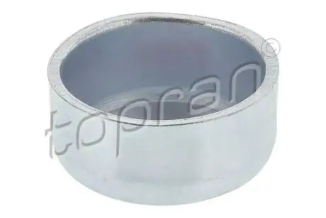 Заглушка (блок) двигуна 20MM TOPRAN 119 681