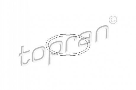 Прокладка, термостат TOPRAN 400689 (фото 1)