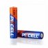 Батарейка щелочная pkcell 1.5v aaa/lr03, 2 штуки в блистере цена за блистер, q12/144 Transkompani 9300 (фото 1)