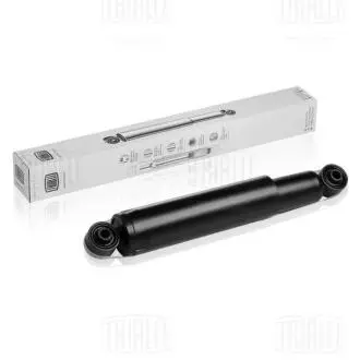 Амортизатор TRIALLI AG 05510