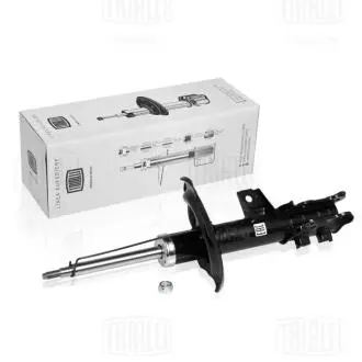 Амортизатор TRIALLI AG 08161