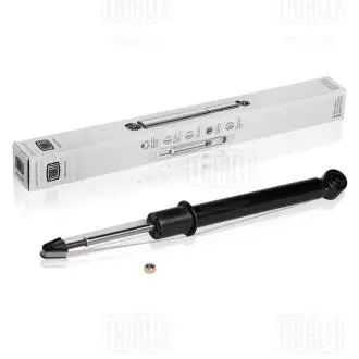 Амортизатор TRIALLI AG 08539