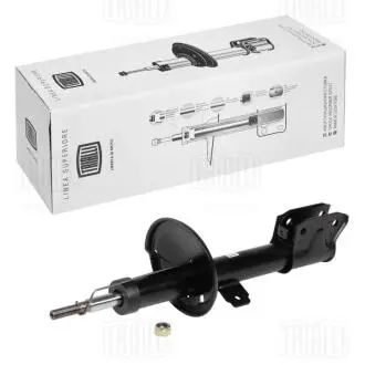 Амортизатор перед. газ. для а/м renault kaptur (16-) TRIALLI AG 09066