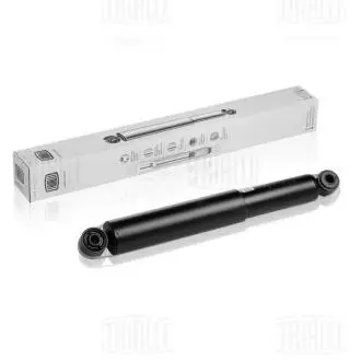 Амортизатор TRIALLI AG 09517