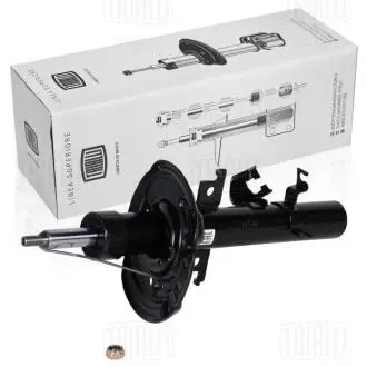Амортизатор підвіски передньої правий газомасляний Nissan Qashqai (13-) TRIALLI AG 14376