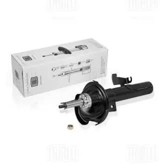 Амортизатор TRIALLI AG 25150
